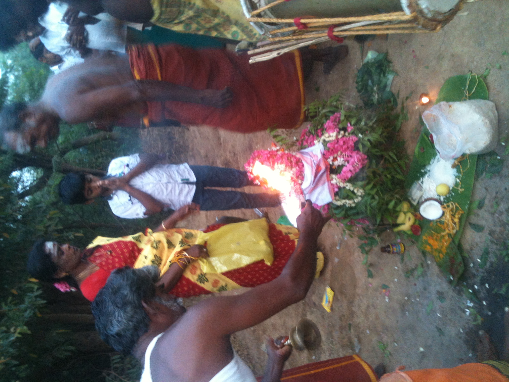 பங்குனி உத்திரம் 8